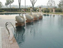 不同泳池設(shè)備之間竟然還有這些區(qū)別?