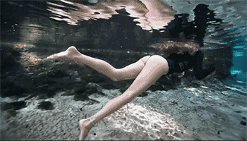 4389000063375ece76e9.gif 4389000063375ece76e9.gif